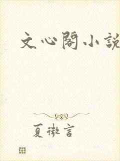 文心阁小说