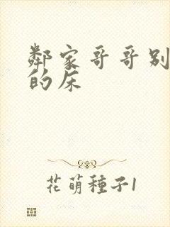 邻家哥哥别上我的床