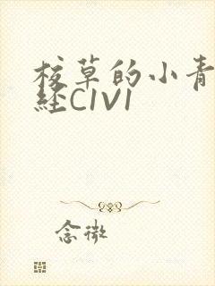 校草的小青梅不经C1V1