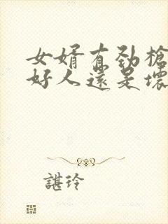 女婿有劲枪枪是好人还是坏人