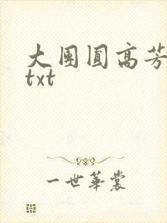 大团圆高芳小说txt