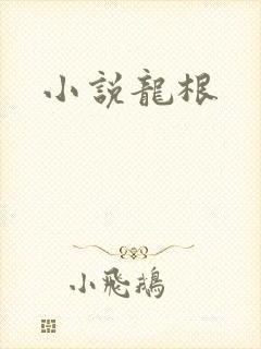 小说龙根