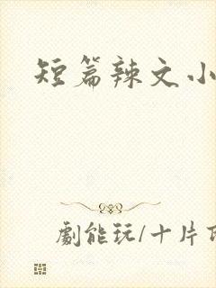 短篇辣文小说