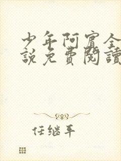 少年阿宾全文小说免费阅读笔趣阁