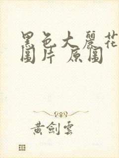 黑色大丽花真实图片 原图