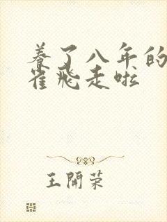 养了八年的金丝雀飞走啦