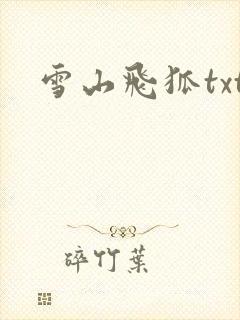 雪山飞狐txt