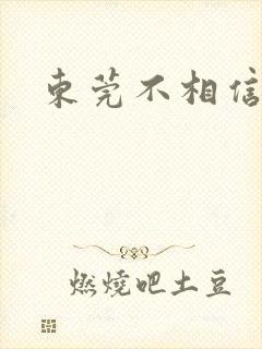 东莞不相信眼泪