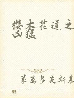 樱木花道之重生凶猛