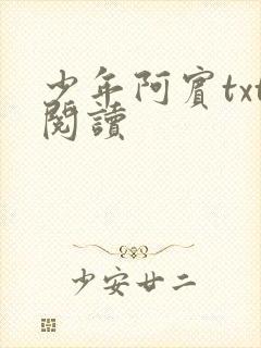 少年阿宾txt阅读