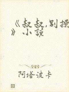 《叔叔,别撩我》小说