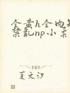 全黄h全肉短篇禁乱np小柔