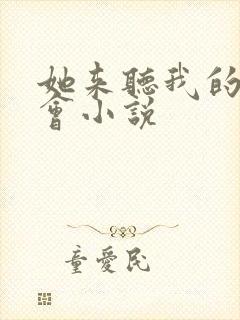 她来听我的演唱会小说