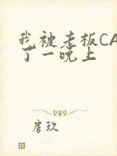 我被老板CAO了一晚上