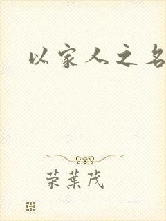 以家人之名小说