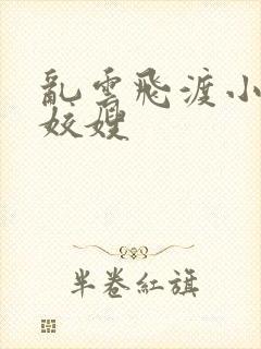 乱云飞渡小说之姣嫂