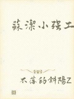 苏洁小强工地情