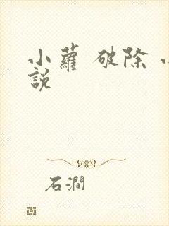 小萝 破除 小说