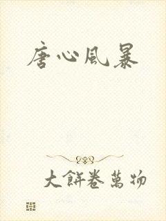 唐心风暴
