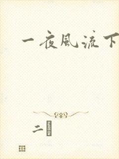 一夜风流下载