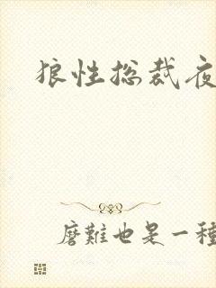 狼性总裁夜欢宠