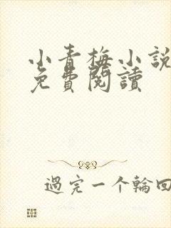 小青梅小说全文免费阅读