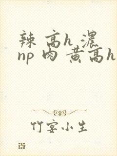 辣 高h 浓 np 肉 黄高h