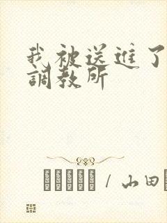 我被送进了私奴调教所