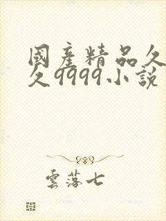 国产精品久久久久9999小说