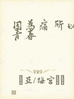 因为痛 所以叫青春