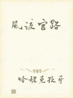 风流官路