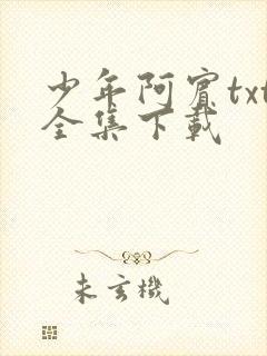 少年阿宾txt全集下载
