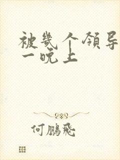 被几个领导玩弄一晚上