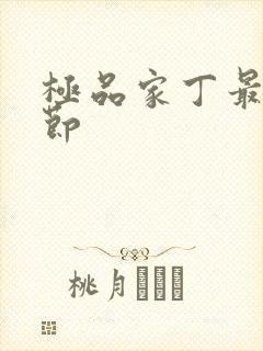 极品家丁最新章节