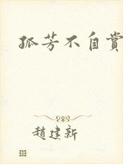 孤芳不自赏小说