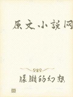 原文小说网