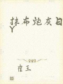 抹布炮灰日记BY