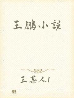 王鹏小说