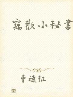 窃欢小秘书