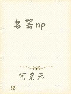 名器np