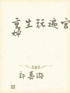 重生玩遍官场贵妇