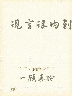 现言很肉到处做