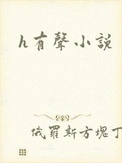 h有声小说