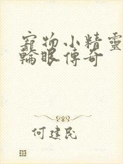 宠物小精灵之写轮眼传奇