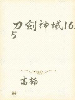 刀剑神域16.5