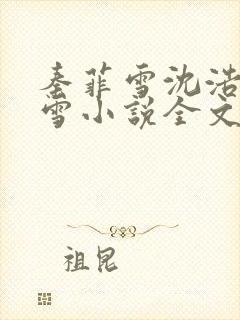 秦菲雪沈浩秦菲雪小说全文免费阅读求书