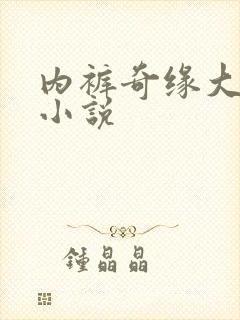 内裤奇缘大团结小说