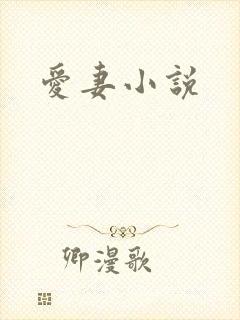 爱妻小说