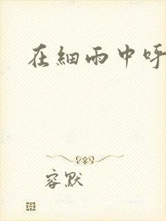 在细雨中呼喊