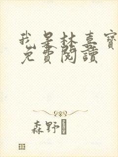 我是林喜宝小说免费阅读